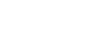Practivet logo