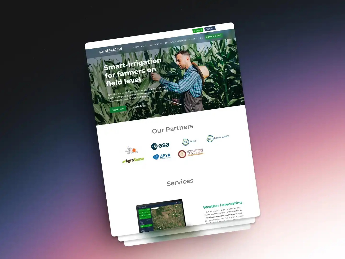 SpaceCrop satellite imagery platform for agricultural monitoring and analysis